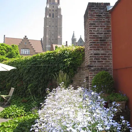 Bonobo * Bruges